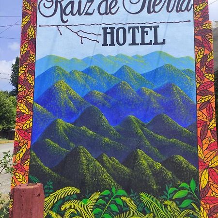 Hotel Raiz De Sierra Matlapa Extérieur photo