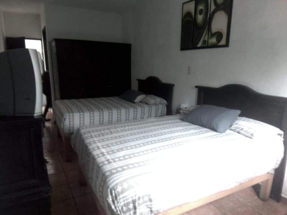 Hotel Raiz De Sierra Matlapa Extérieur photo